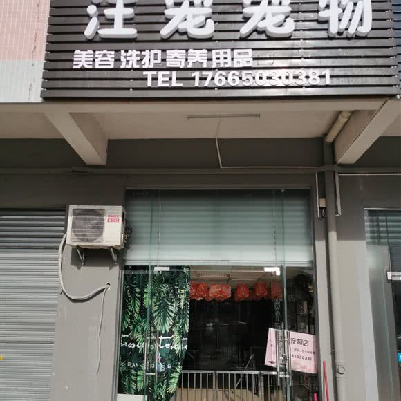 汪宠宠物:中山市沙溪镇沙溪附近