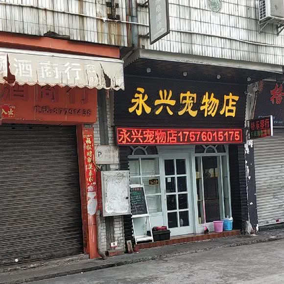 永兴宠物店:中山市沙溪镇沙溪附近