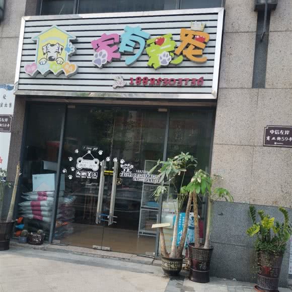 家有爱宠:中山市沙溪镇世纪新城附近