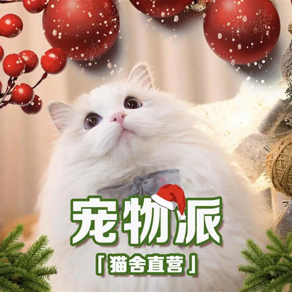 宠物派·猫舍直营(长楹天街店):北京城区朝阳区常营附近