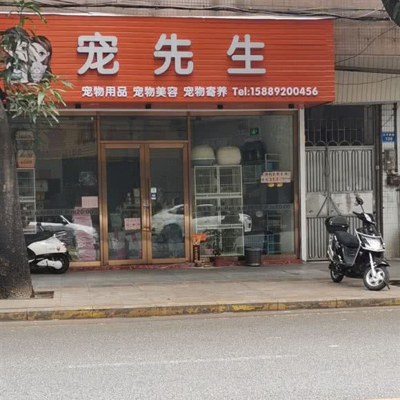 宠先生:中山市小榄镇小榄城轨站附近