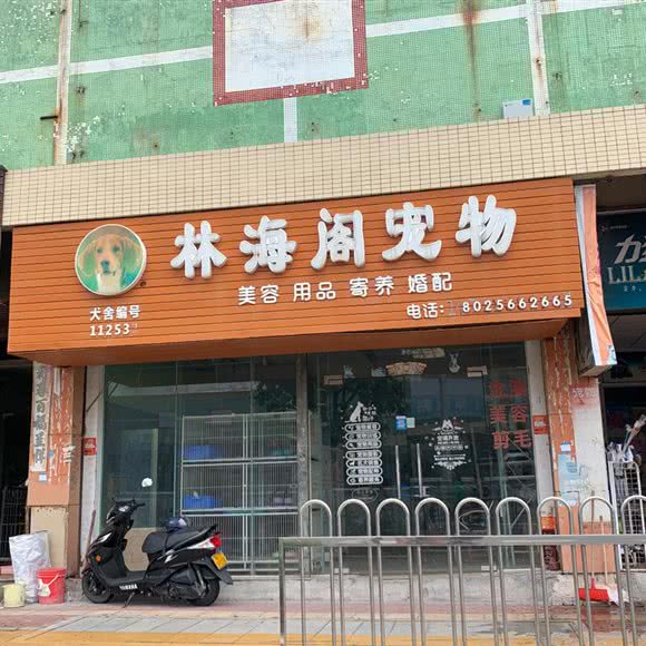 林海阁宠物店:中山市小榄镇小榄城轨站附近