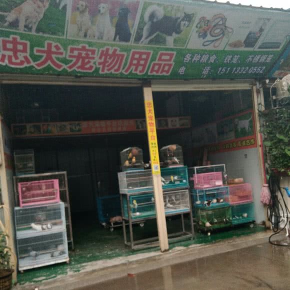 忠犬宠物用品:中山市小榄镇小榄城轨站附近