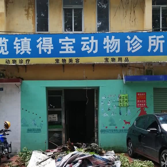 小榄镇得宝动物诊所:中山市小榄镇小榄城轨站附近