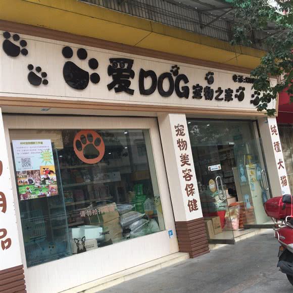 爱DOG宠物之家:中山市小榄镇永宁附近