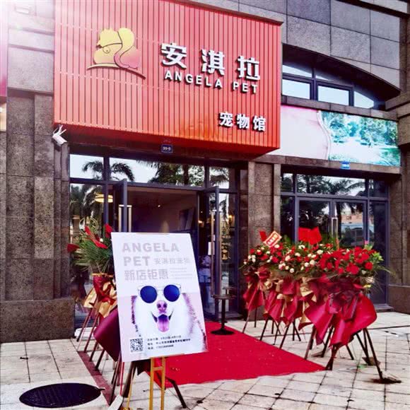 安淇拉宠物生活馆:中山市坦洲镇合胜百货附近