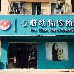 心蔚动物诊所:中山市坦洲镇合胜百货附近