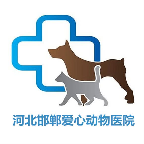 爱心宠物医院(高开店):邯郸市丛台区联纺附近