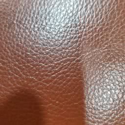 粉红色宠物店:中山市黄圃镇兴圃大道西附近