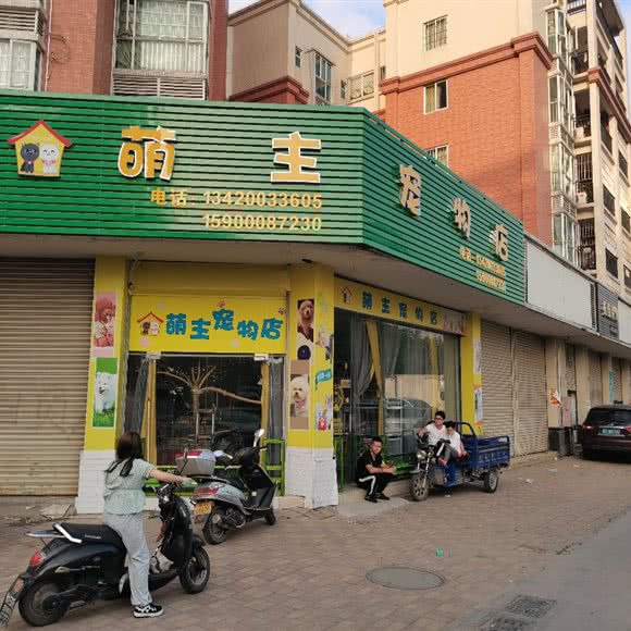 萌主宠物店:中山市黄圃镇兴圃大道东附近