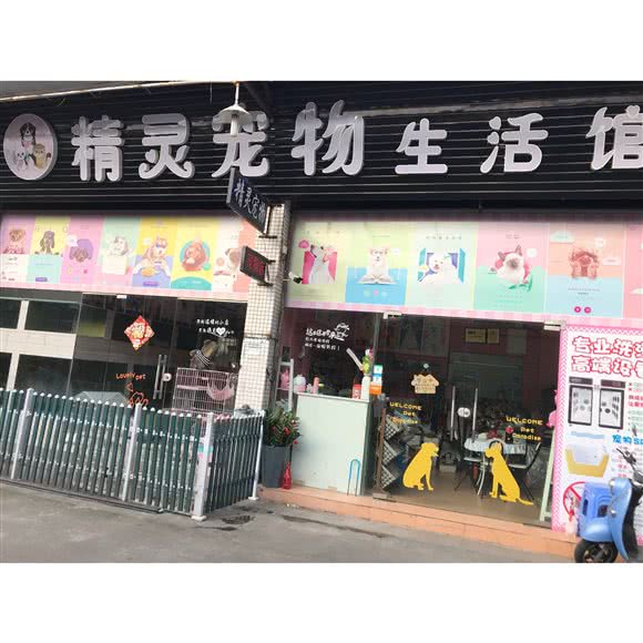 宠它·宠物工作室:中山市东升镇东升壹加壹附近