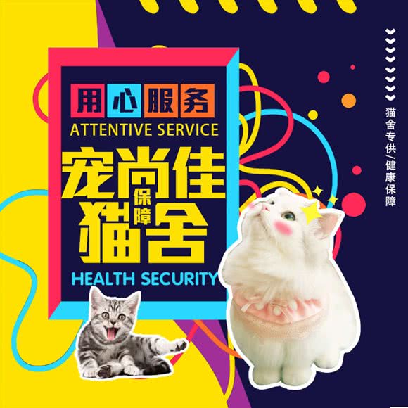 宠尚佳·猫舍旗舰店(常营龙湖天街西区店):北京城区朝阳区常营附近