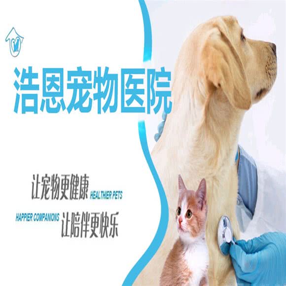 浩恩宠物医院:邯郸市丛台区星城国际附近