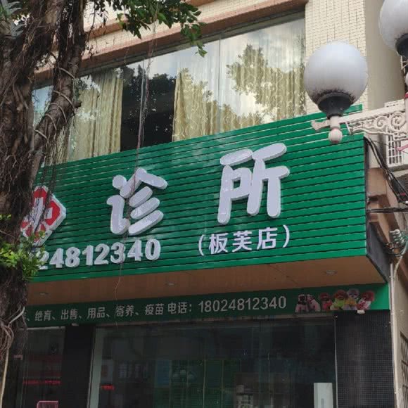 倍爱动物诊所(板芙店):中山市板芙镇芙中北路附近
