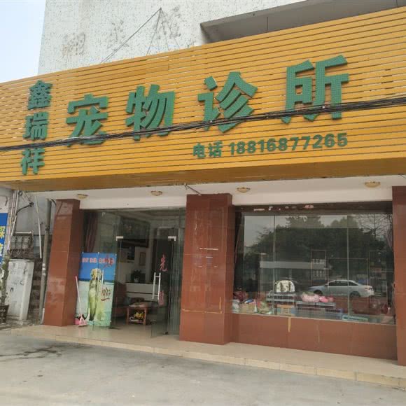 鑫瑞祥狗狗诊所:中山市板芙镇你我他购物附近