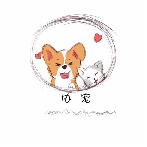 协宠宠物医院(古镇店):中山市古镇镇古镇附近