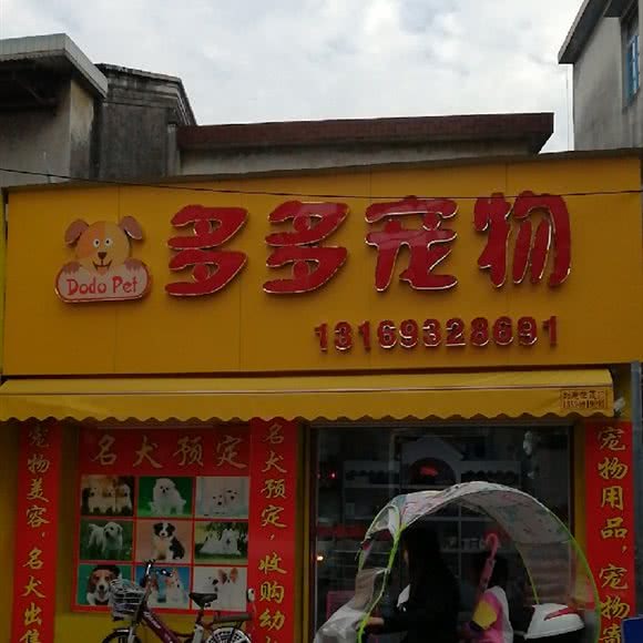 多多宠物:中山市大涌镇华泰路附近