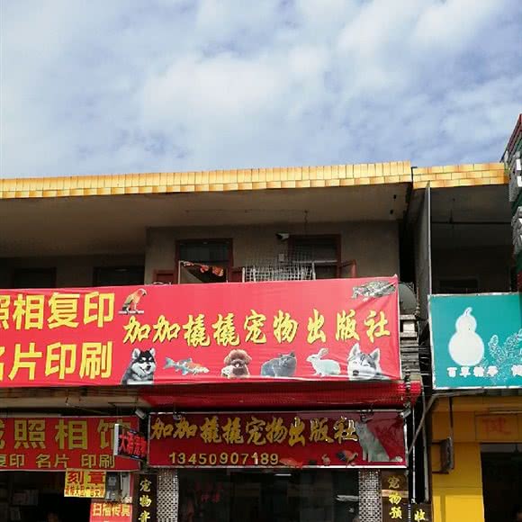 加加橇橇宠物诊所:中山市大涌镇华泰路附近