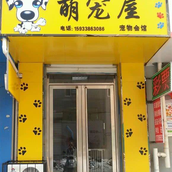 萌宠屋:邯郸市丛台区樱花新天地附近