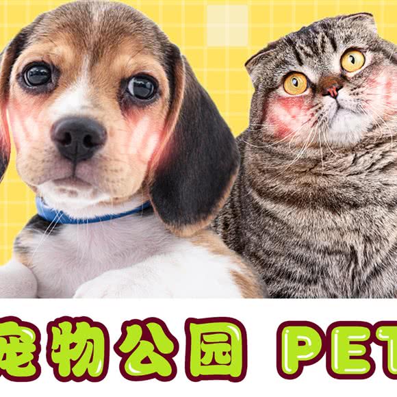 米卢宠物狗公园:北京城区朝阳区