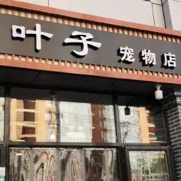 叶子宠物店:北京城区朝阳区