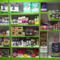 派多格宠物美容店:北京城区朝阳区