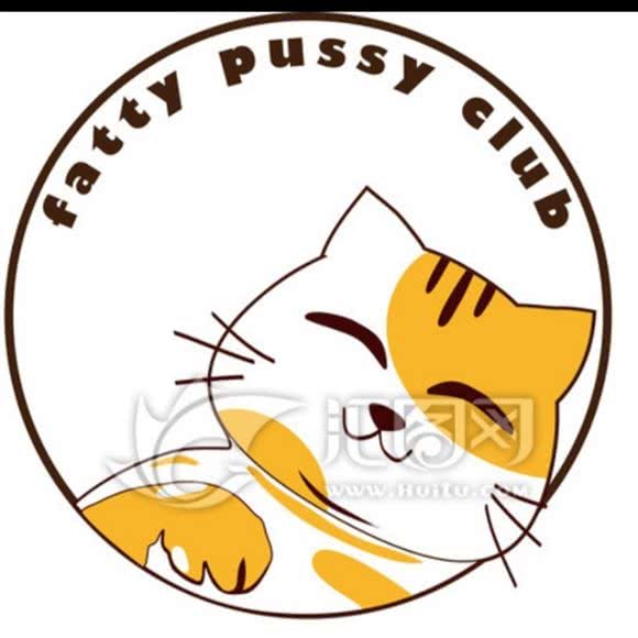 大橘家撸猫体验馆(龙盘锦绣店):邯郸市丛台区樱花新天地附近