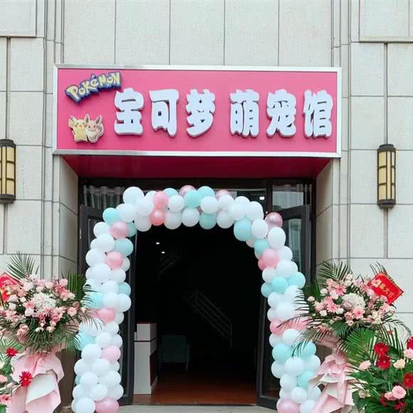 宝可梦萌宠园:邯郸市丛台区中华北附近