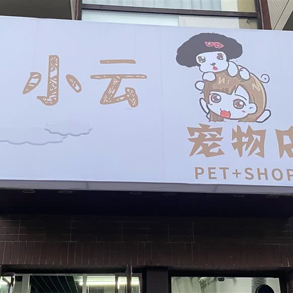 小云宠物店:北京城区朝阳区