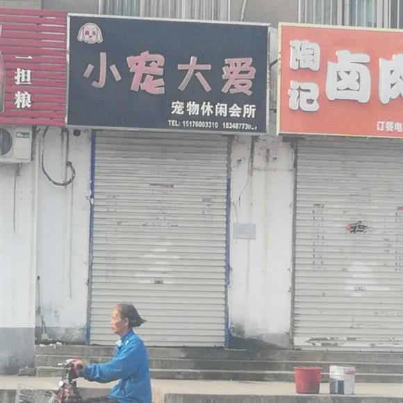 小宠大爱狗狗休闲会所:邯郸市丛台区中华北附近