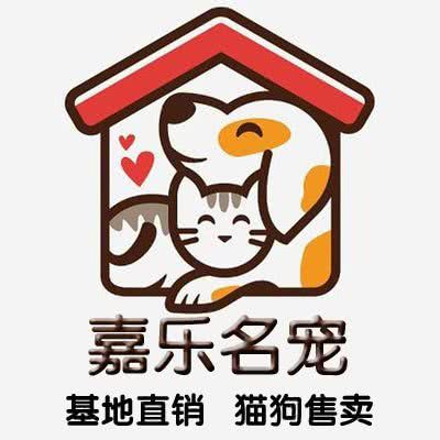 嘉乐名宠 · 宠物猫狗售卖(三里屯太古里店):北京城区朝阳区