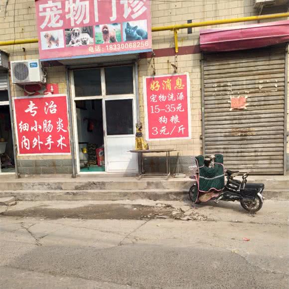 宠物门诊:邯郸市丛台区中华北附近