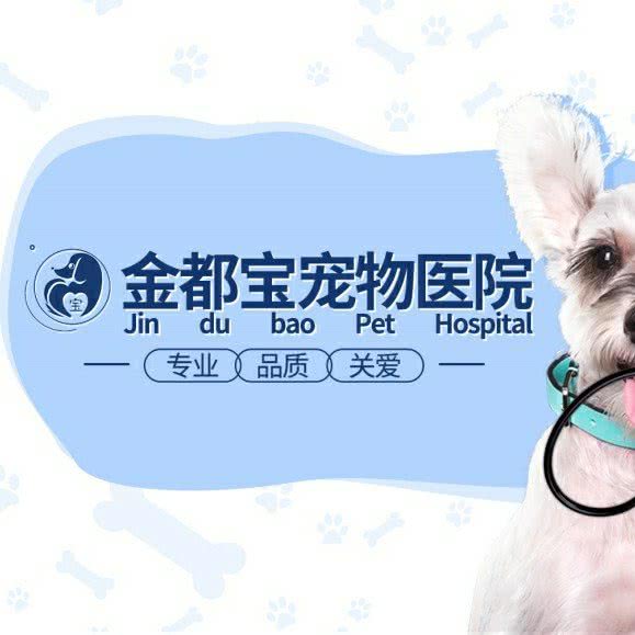 金都宝宠物医院:北京城区朝阳区