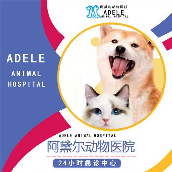 北京阿黛尔动物医院:北京城区海淀区