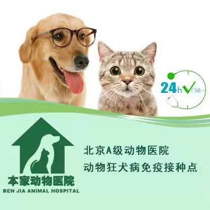 本家国际连锁.帅贝贝动物医院(门头沟分院):北京城区门头沟区