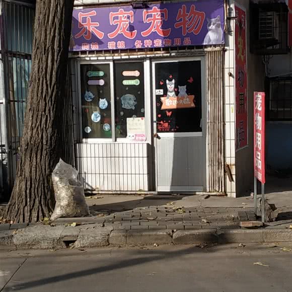 乐宠宠物:北京城区房山区