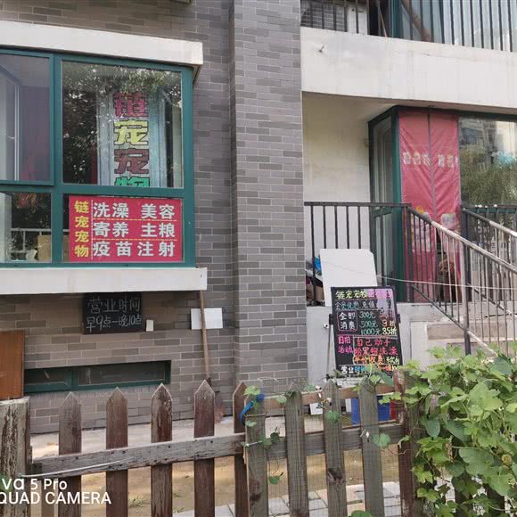 链宠宠物工作室:北京城区房山区
