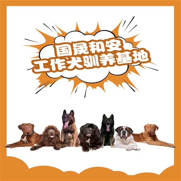 国晟和安工作犬驯养基地:北京城区房山区