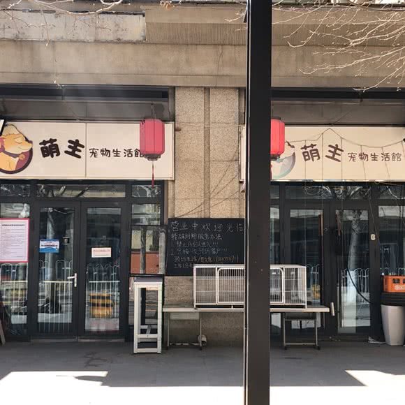 萌主宠物生活馆:北京城区通州区