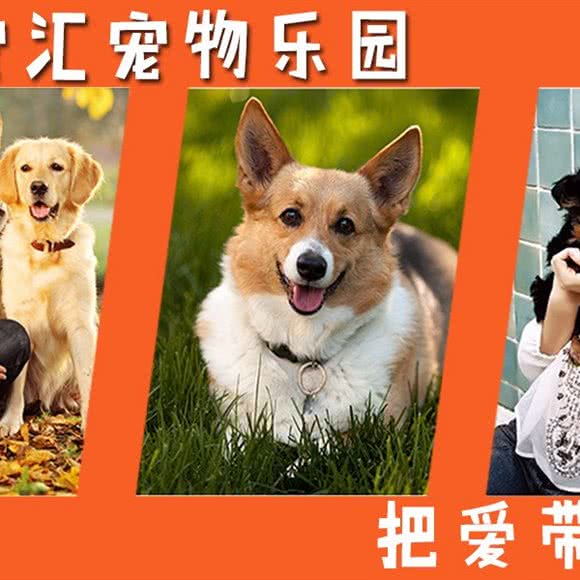 铭宠汇宠物乐园高端宠物繁育:北京城区通州区