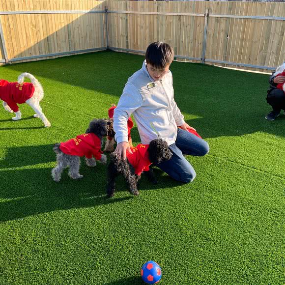 旺旺旺宠物寄养训练学校:北京城区通州区