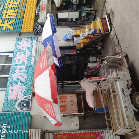 爵加宠物:邯郸市复兴区复兴商贸城附近