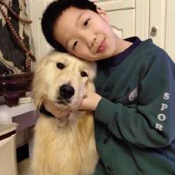 骏雷犬舍:北京城区通州区