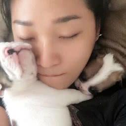 三十六画犬舍:北京城区通州区