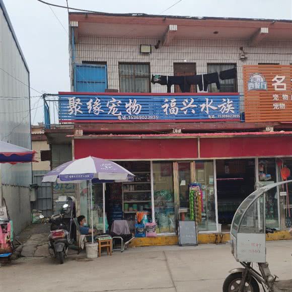 聚缘狗狗:邯郸市复兴区复兴商贸城附近