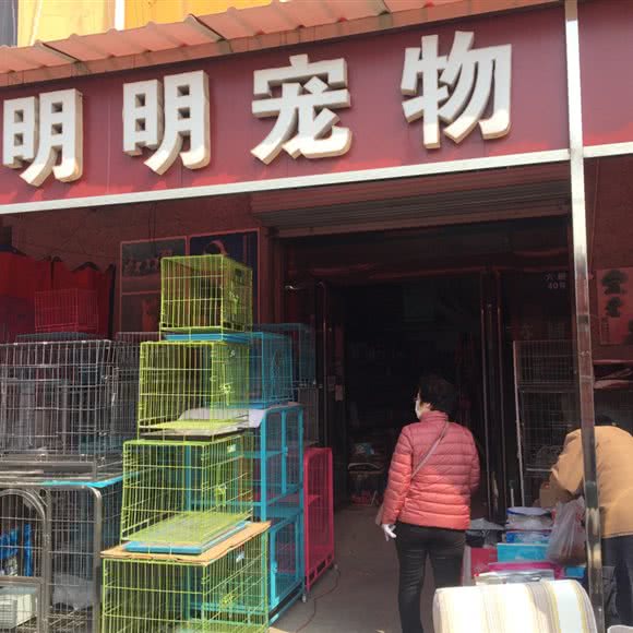 明明宠物:邯郸市复兴区复兴商贸城附近