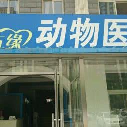聚方缘动物医院:北京城区通州区