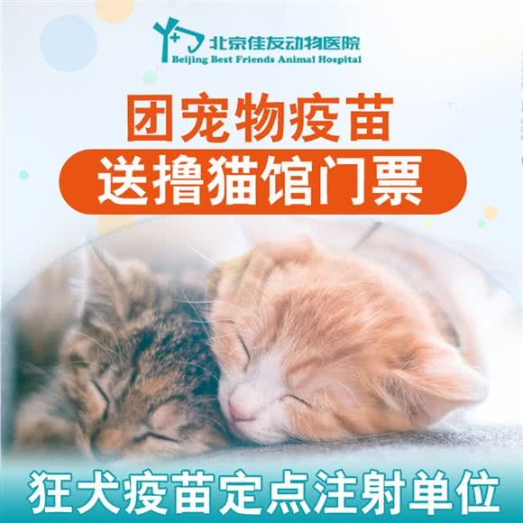 北京佳友动物医院总院:北京城区通州区