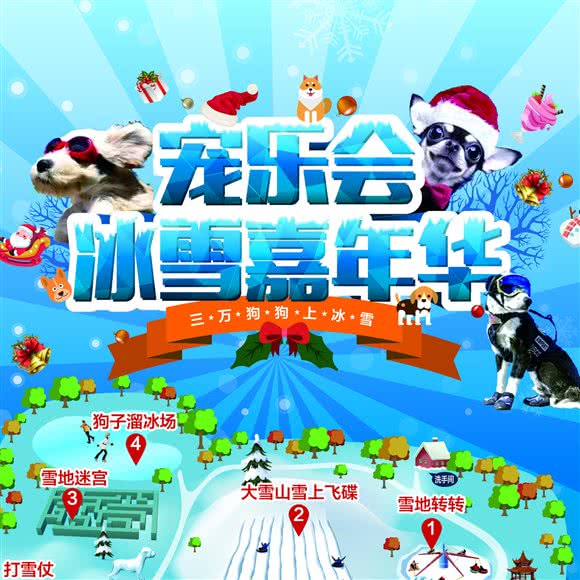 宠乐会宠物乐园:北京城区顺义区