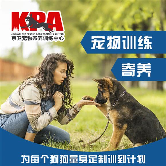 北京京卫宠物寄养训练中心:北京城区顺义区